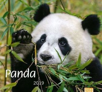Panda 2019