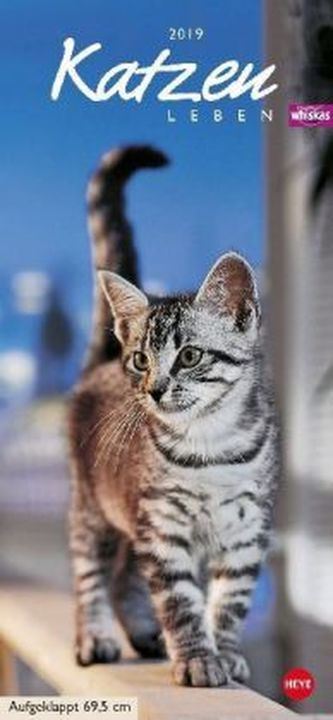 Whiskas Katzenleben 2019