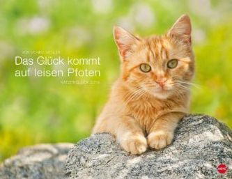 Das Glück kommt auf leisen Pfoten 2019