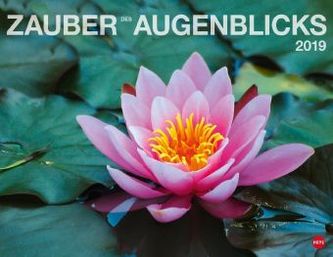 Zauber des Augenblicks 2019