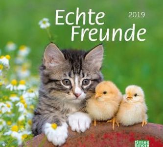 Echte Freunde 2019