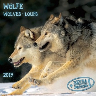 Wölfe / Wolves / Loups 2019