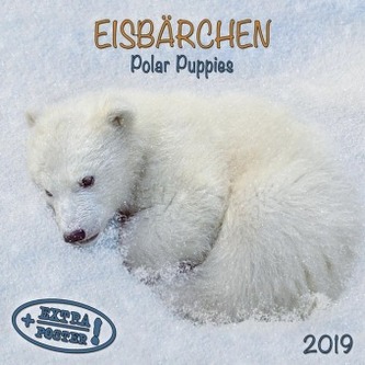 Eisbärchen / Polar Puppies 2019
