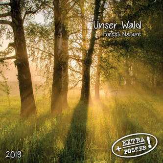 Unser Wald / Forest Nature 2019