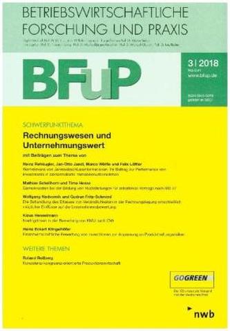 Rechnungswesen und Unternehmungswert