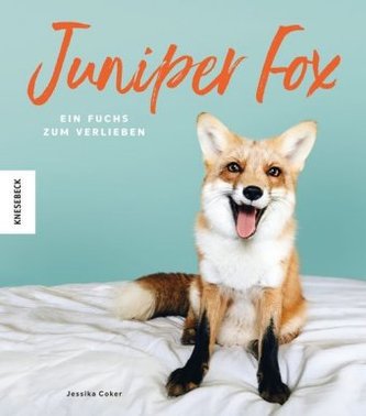 Juniper Fox Juniper Fox