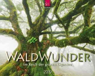 WaldWunder 2019 WaldWunder 2019