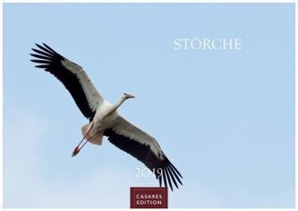 Störche 2019