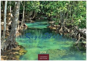 Regenwald 2019