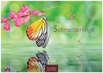 Schmetterlinge 2019