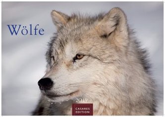 Wölfe 2019
