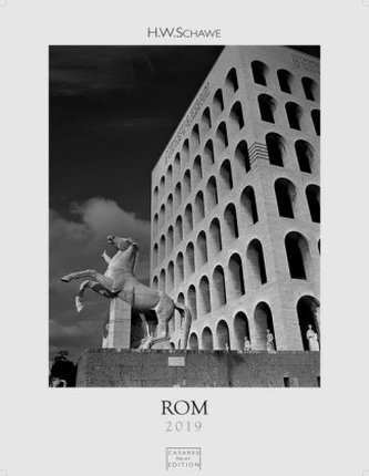 Rom S/W 2019