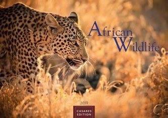 African Wildlife 2019
