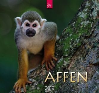 Affen 2019