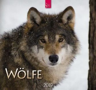 Wölfe 2019