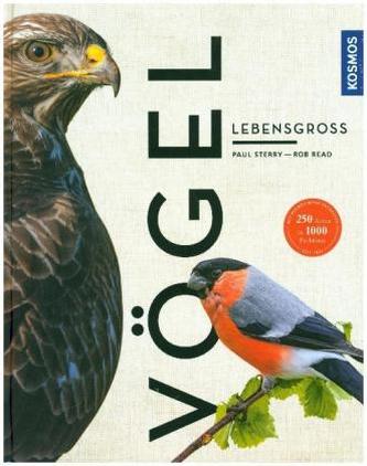 Vögel lebensgroß (Großformat) Vögel lebensgroß (Großformat)