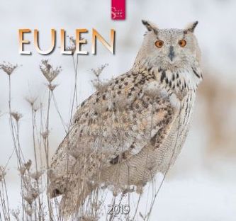 Eulen 2019