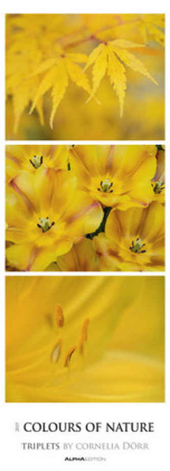 Colours of Nature 2019