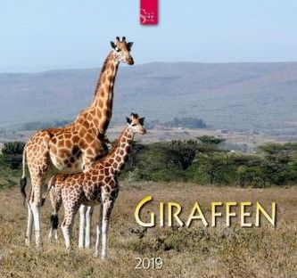 Giraffen 2019
