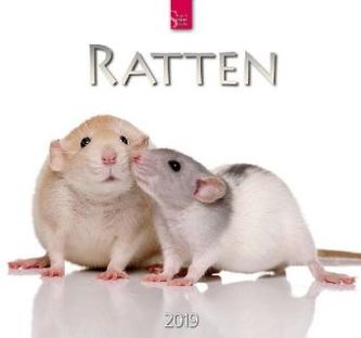 Ratten 2019