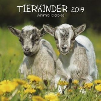 Tierkinder 2019