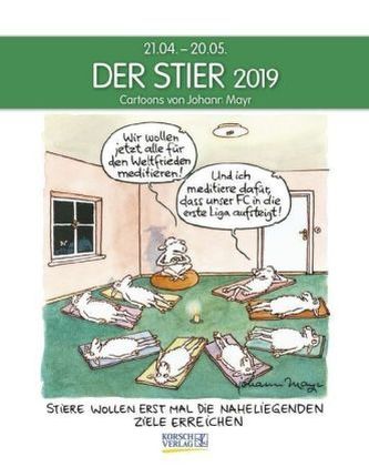 Stier 2019