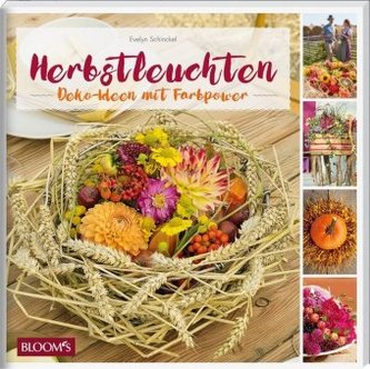 Herbstleuchten Herbstleuchten