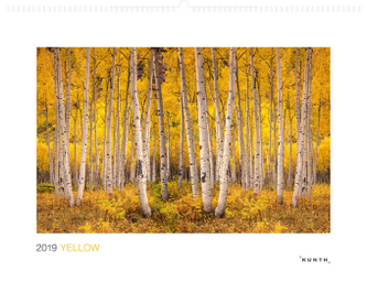 Yellow 2019