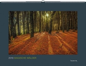 Magische Wälder 2019