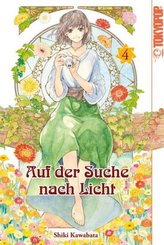 Auf der Suche nach Licht. Bd.4