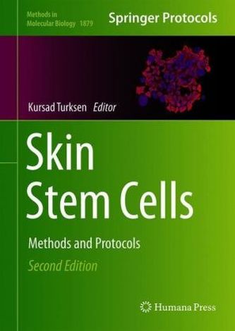 Skin Stem Cells