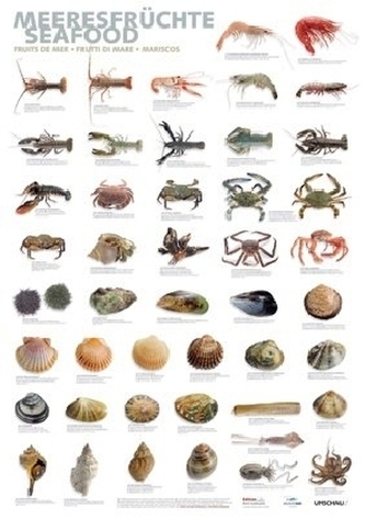 Meeresfrüchte, Poster