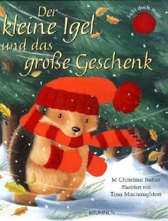 Der kleine Igel und das große Geschenk