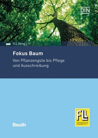Fokus Baum Fokus Baum