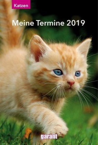 Katzen, Meine Termine 2019