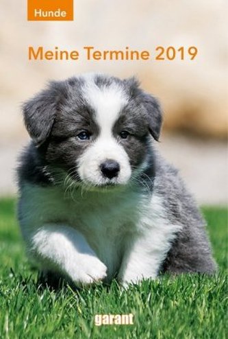 Hunde, Meine Termine 2019