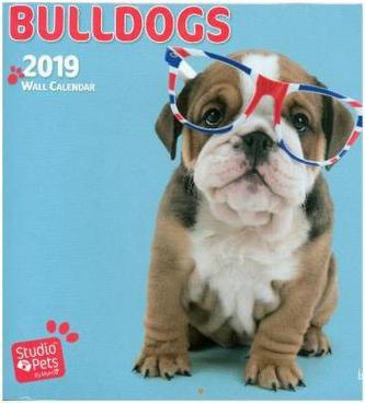 Bullish for Bulldogs 2019