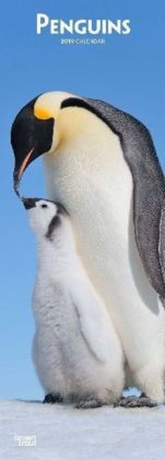 Penguins 2019