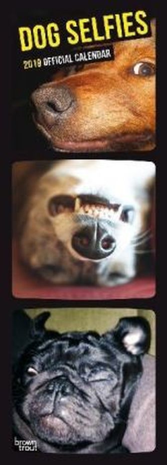 Dog Selfies 2019