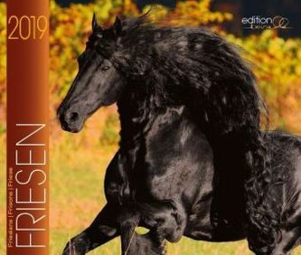 Prächtige Friesen 2019