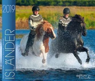 Isländer Pferde 2019