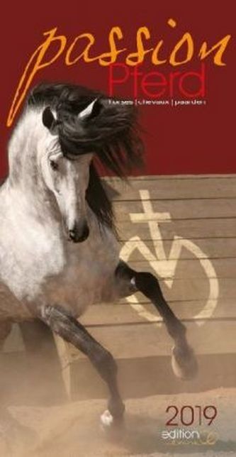 Passion Pferd 2019