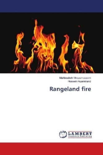 Rangeland fire Rangeland fire