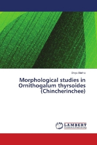Morphological studies in Ornithogalum thyrsoides (Chincherinchee) Morphological studies in Ornithogalum thyrsoides (Chincherinchee)