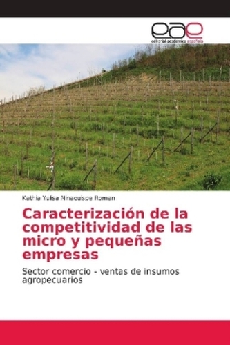 Caracterización de la competitividad de las micro y pequeñas empresas Caracterización de la competitividad de las micro y pequeñas empresas