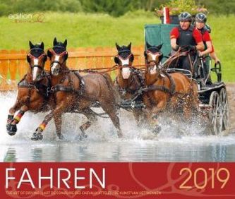 Fahren 2019