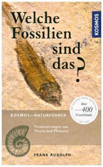 Welche Fossilien sind das? Welche Fossilien sind das?
