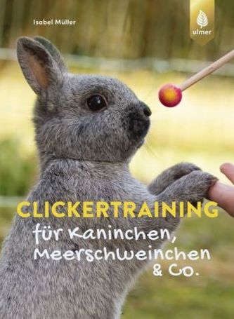 Clickertraining für Kaninchen, Meerschweinchen & Co. Clickertraining für Kaninchen, Meerschweinchen & Co.