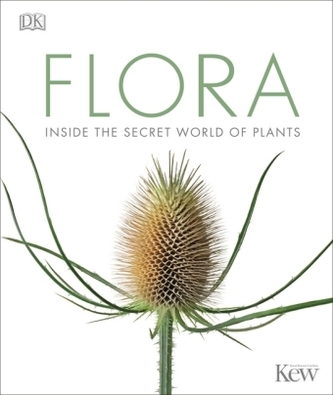 Flora Flora