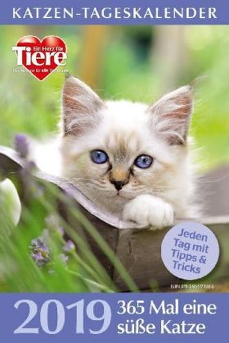 Katzen-Tageskalender 2019